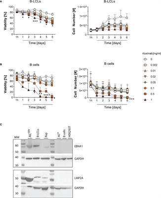 Reinforcement of cell-mediated immunity driven by tumor-associated Epstein-Barr virus (EBV)-specific T cells during targeted B-cell therapy with rituximab